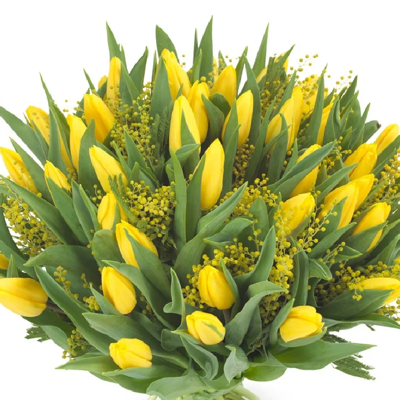 Букет из 45 тюльпанов и мимозы