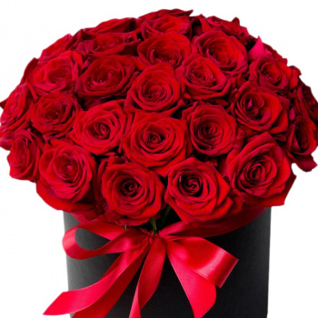 Розы в коробке "Ред Роуз"